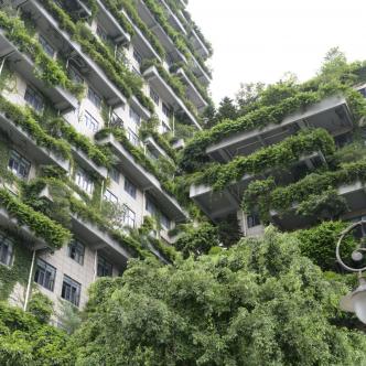 La ville du futur doit-elle s’inspirer de la nature ?