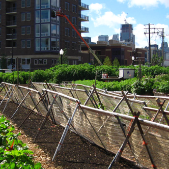 L'agriculture se fraie un chemin en ville