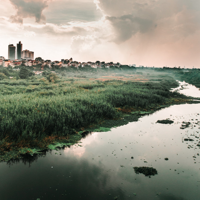 une rivière en zone humide avec une bille en arrière plan
