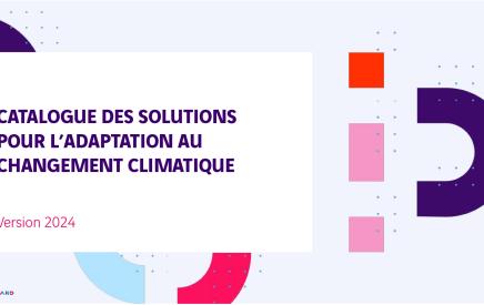 Catalogue des solutions face au changement climatique, Leonard