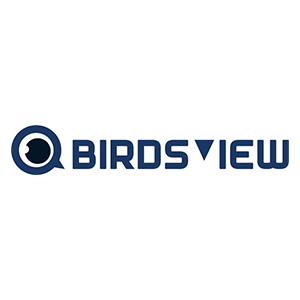 Logo Birdsview