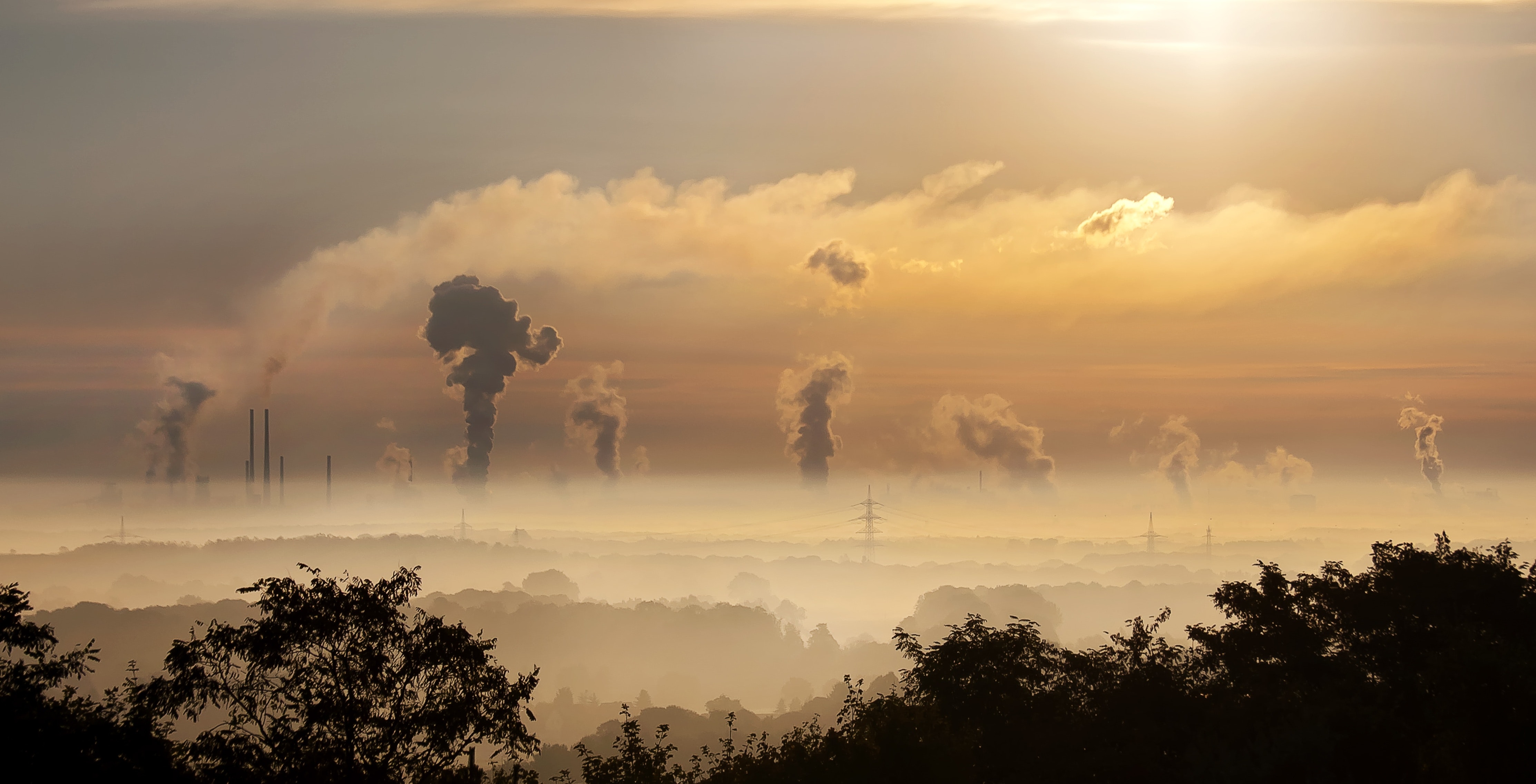 Carbon Capture: miracle cure or false solution?